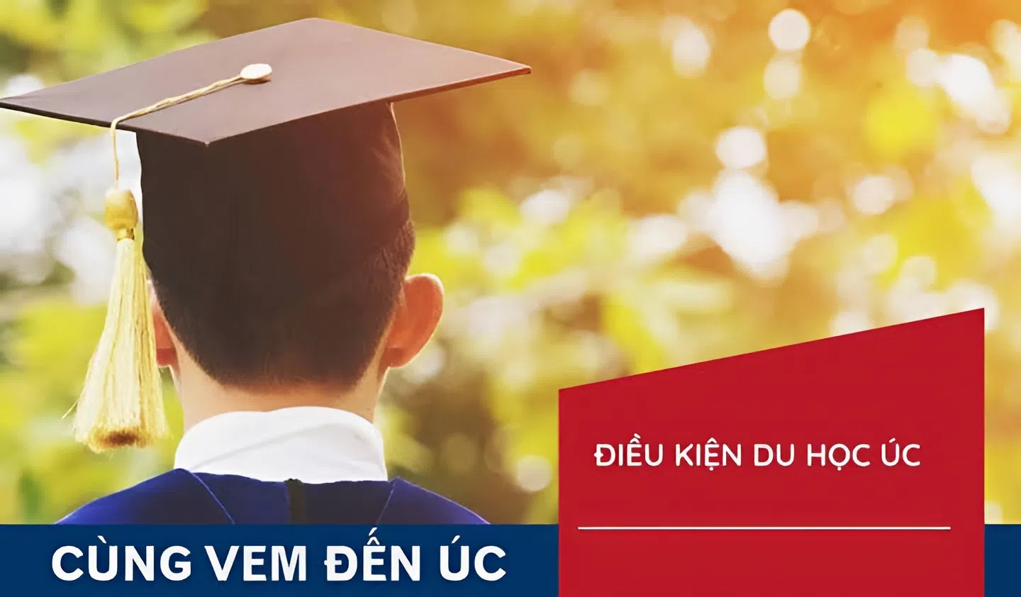 dieu kien du hoc uc