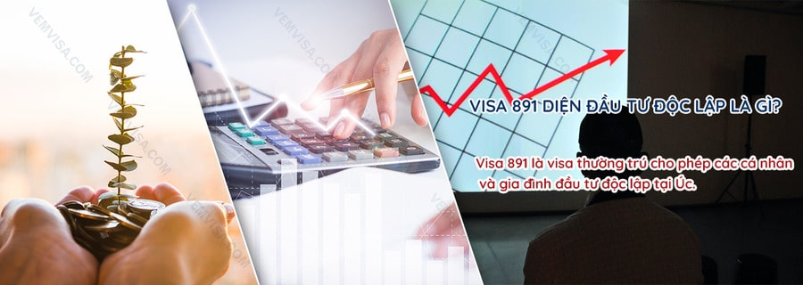 visa 891 là gì