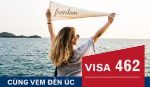 visa 462