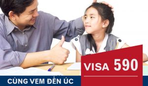 visa 590