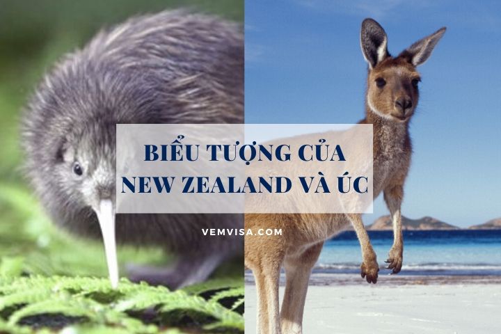 Định cư Úc hay New Zealand? Biểu tượng của Úc và New Zealand