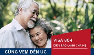 visa 804 úc