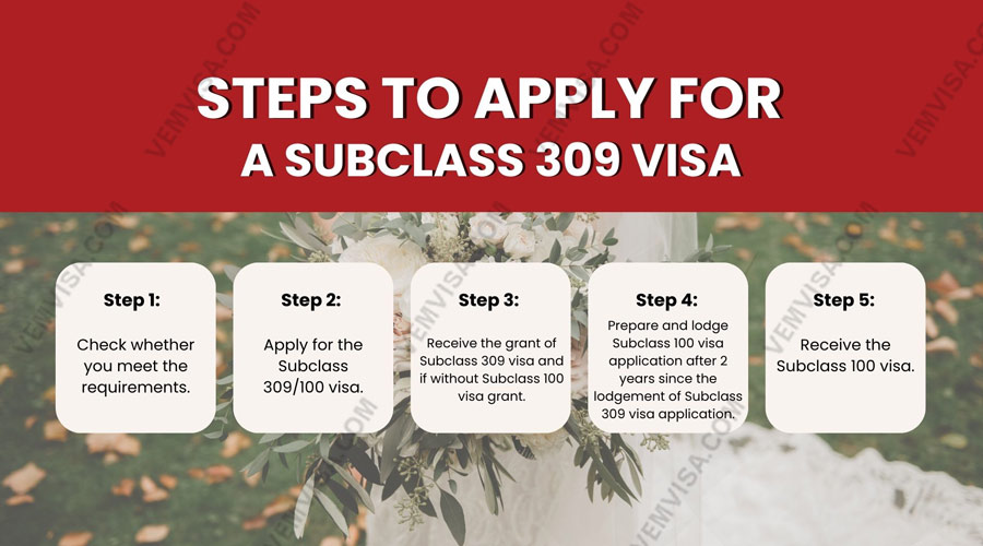 subclass 309 process