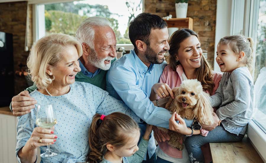Family members included in an Australian subclass 494 regional visa application