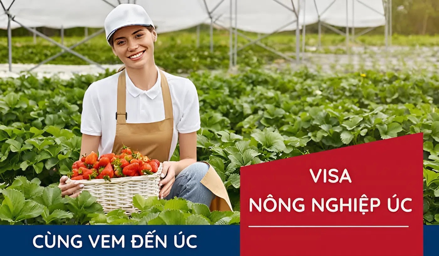 visa lam nong trai o Uc