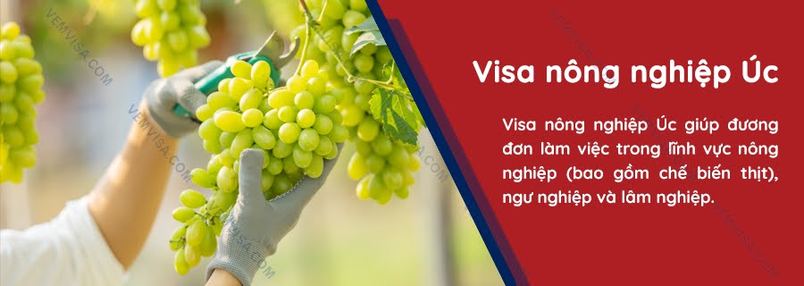 Visa nông nghiệp Úc là gì