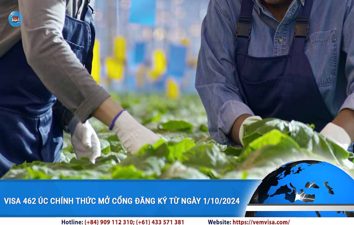 visa 462 uc chinh thuc mo cong dang ky tu ngay 1 10 2024