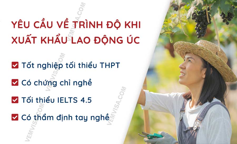 Yêu cầu về trình độ khi xuất khẩu lao động Úc