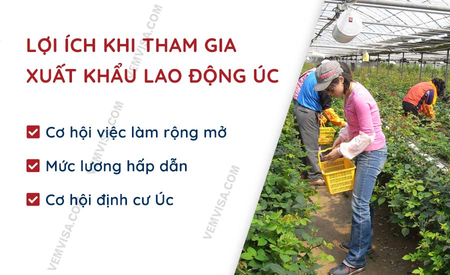 Lợi ích khi tham gia xuất khẩu lao động Úc