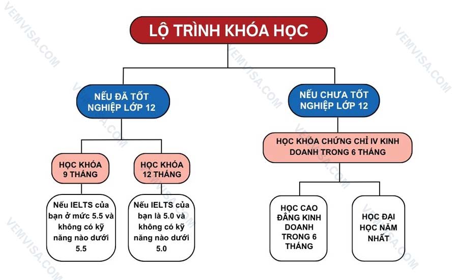 Lộ trình học Cao đẳng kinh doanh Úc từ lớp 11 đến năm 2 Đại học