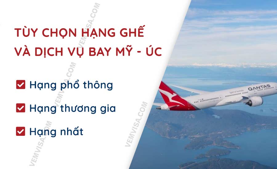 tuy chon hang ghe