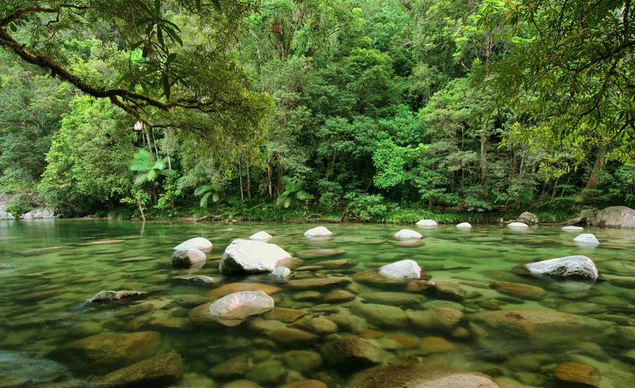 cong vien quoc gia daintree