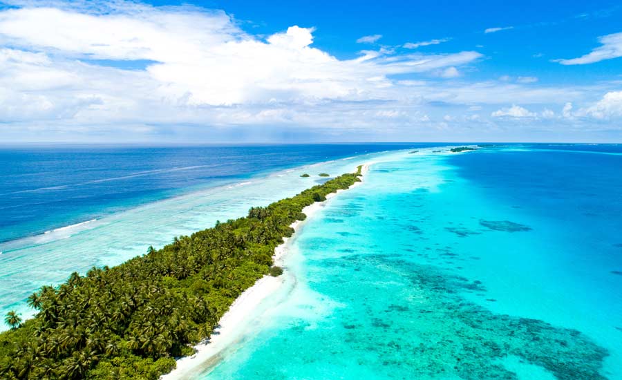 dao whitsunday