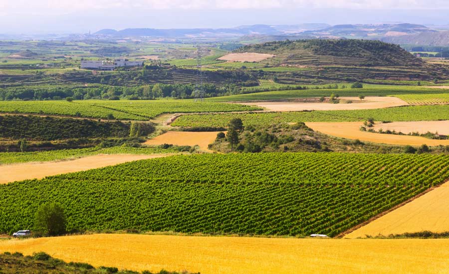 thung lung ruou vang barossa valley