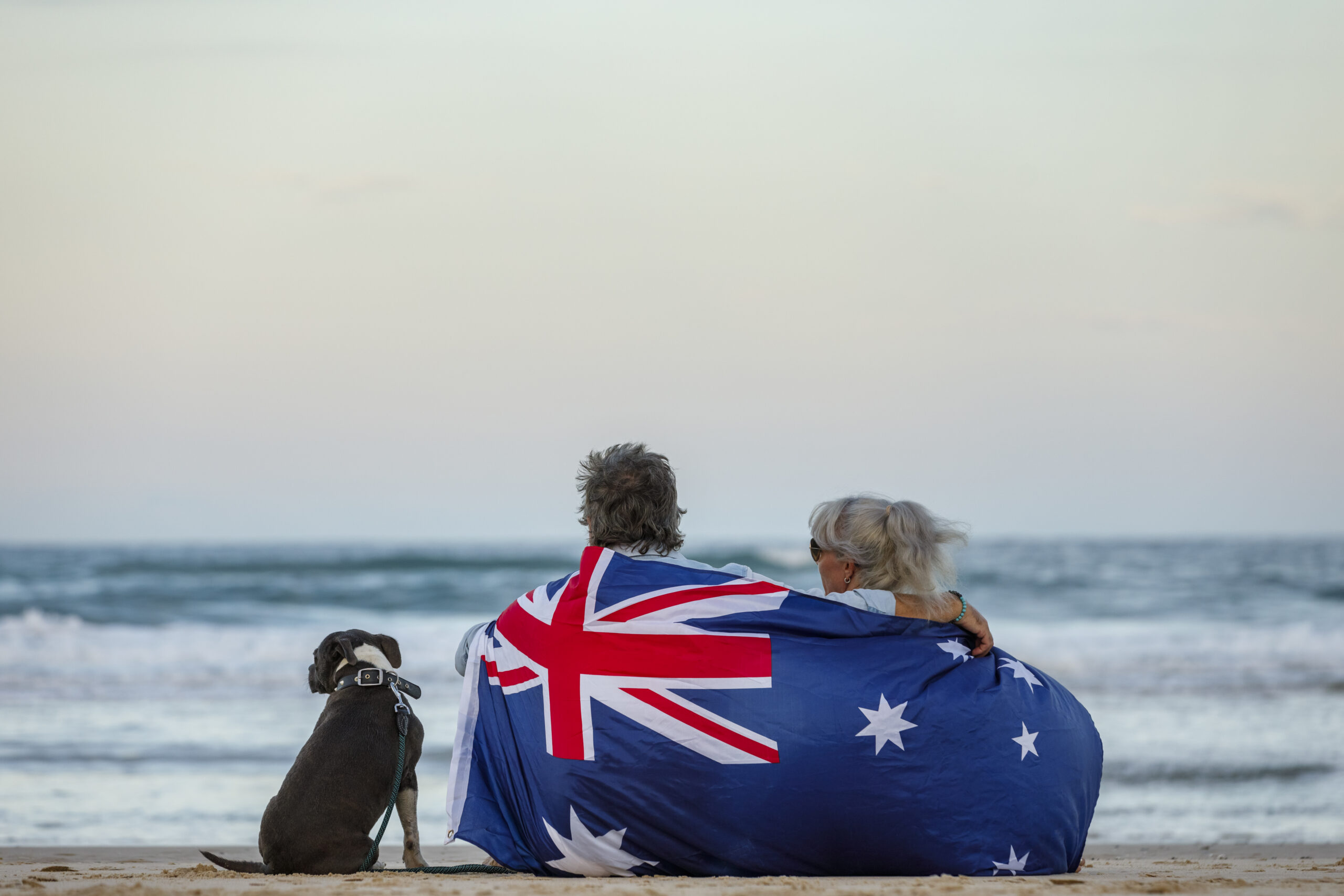 beautiful shot couple beach with blue english stafford dog