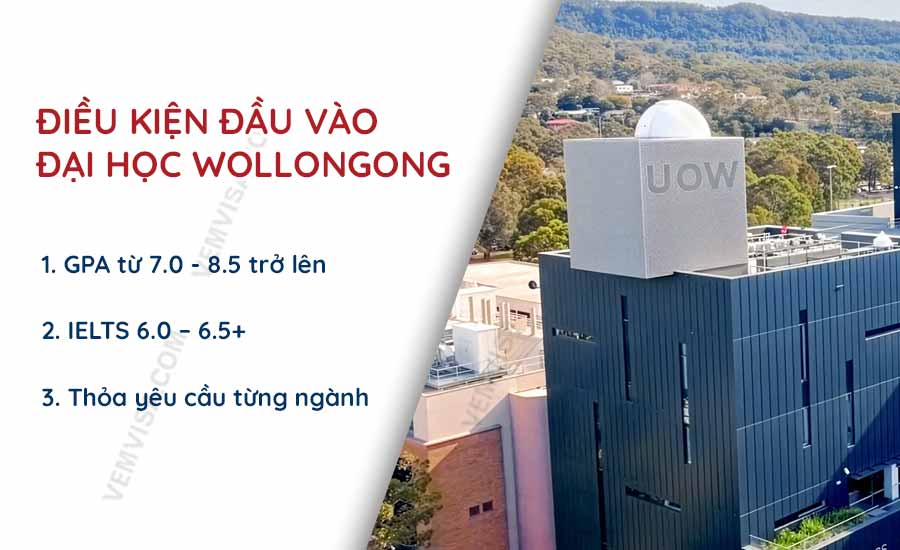 dieu kien dau vao dai hoc wollongong