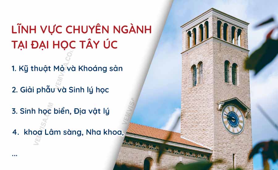 linh vuc chuyen nganh tai dai hoc tay uc