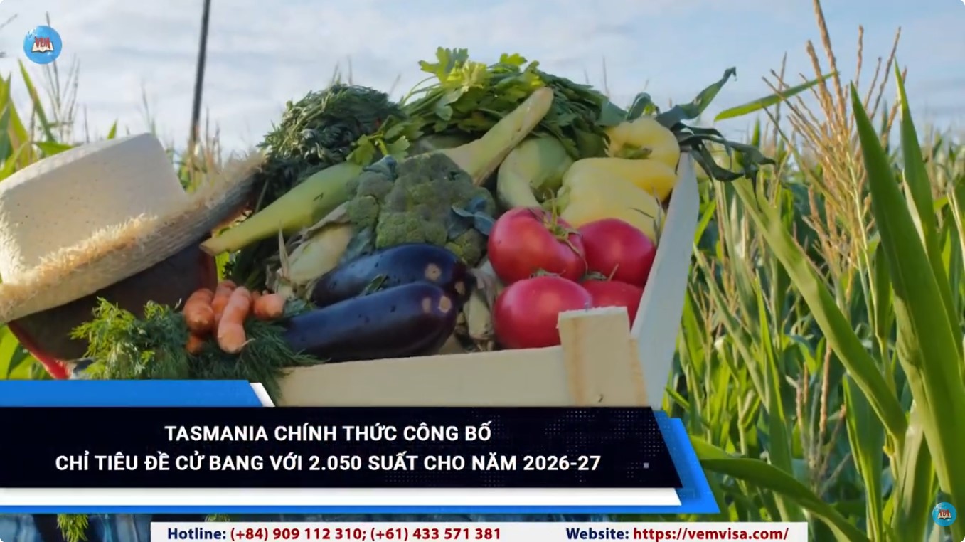 tasmania chinh thuc cong bo chi tieu de cu bang voi 2 050 suat cho nam 2026 27 tasmania chinh thuc cong bo chi tieu de cu bang voi 2 050 suat cho nam 2026 27